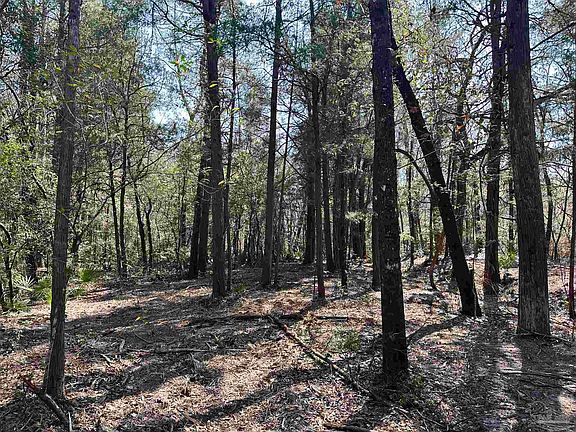 4th image of 3700 Vantage Rd