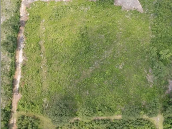 4 Ernest Valeria Lane, Willard, NC 28478