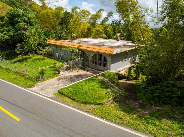 Road 143 Kilo #54, Barranquitas, PR 00794