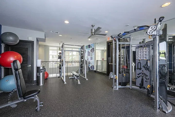 1 bed, 1000 sqft, $3,800 — Photo 3