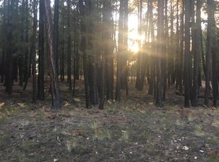 1951 Wildcat Rd, Forest Lakes, AZ 85931