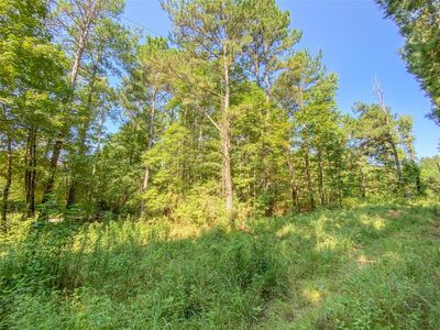 0 Gourd Creek Dr, Huntsville, TX, 77340