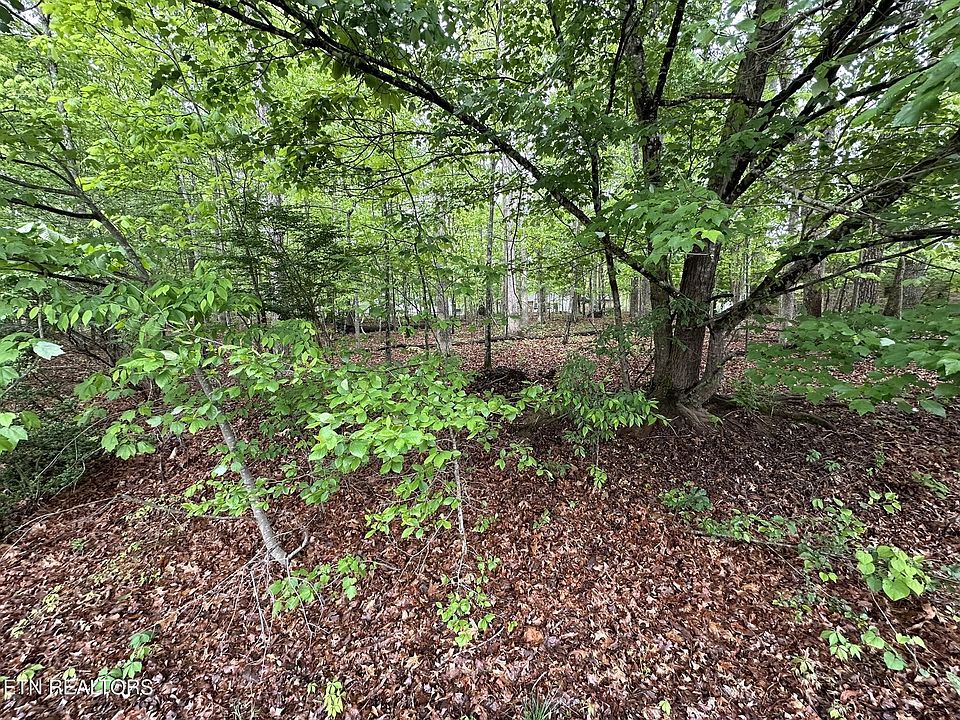 1st image of 114 Shore Ln Lot 293