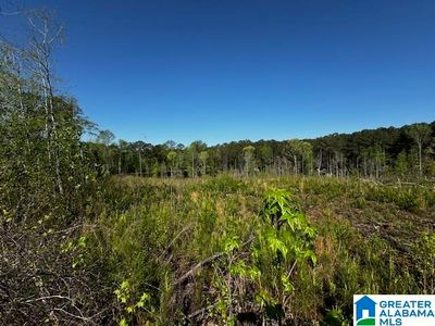 14875 Highway 431, Wedowee, AL, 36278