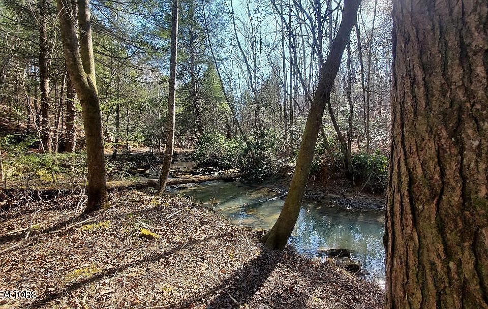 1st image of Sheep Ranch Rd