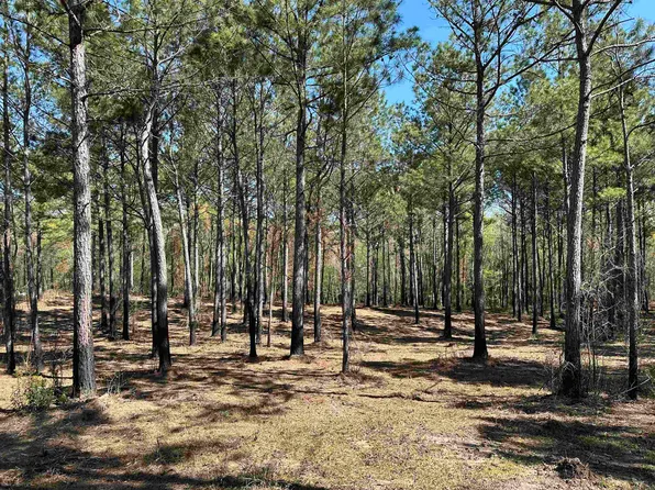 Lot 6 - TBD Old Camp Ln., Salters, SC 29590