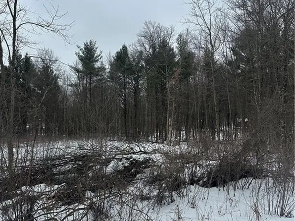 Lot 20 Betty Lane, Black River Falls, WI 54615