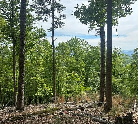 3rd image of 4 Hamptons Knob Rd
