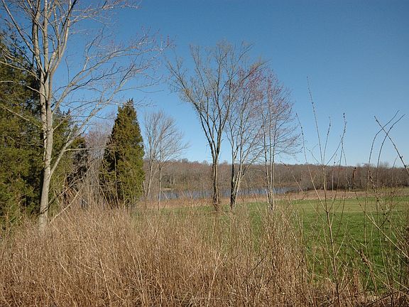Wooded views