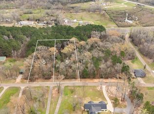 Lots 5 & 6 Heather Ln, Diana, TX 75640