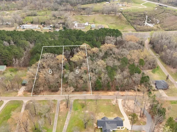 Lots 5 & 6 Heather Ln, Diana, TX 75640