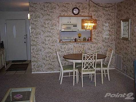 4th image of 616 Flamingo Dr APT 105