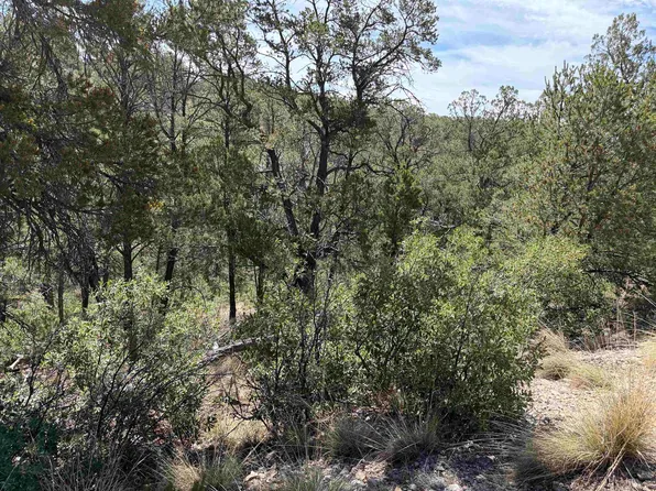 11 Bacon Dr, Timberon, NM 88350
