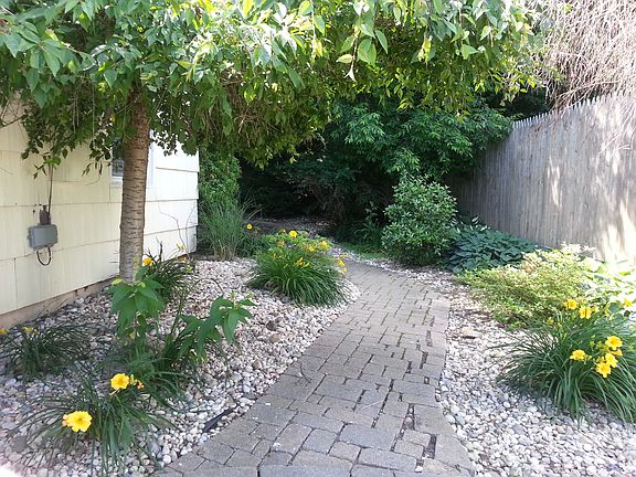 Low maintenance landscape