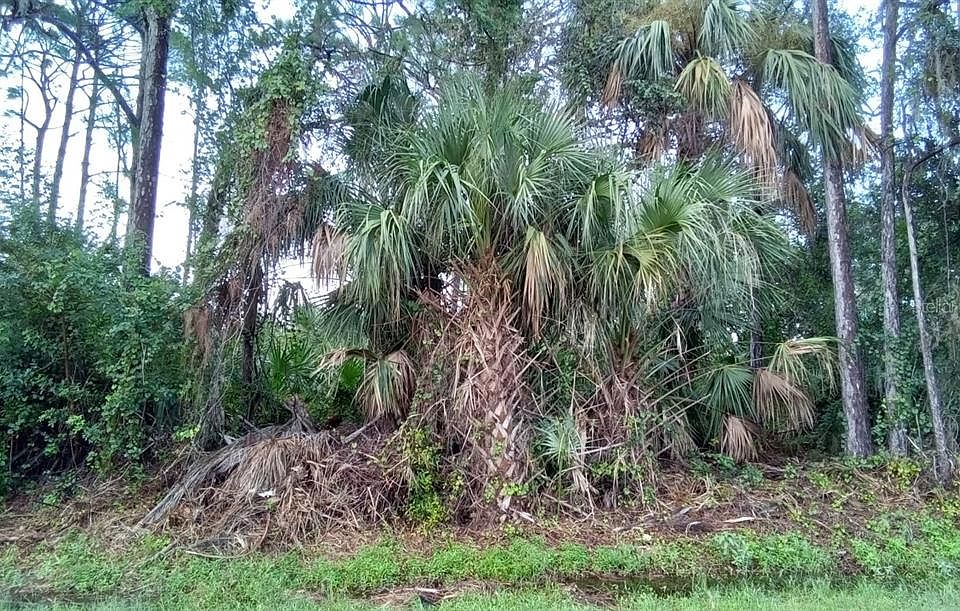 1st image of Simkins Avenue Lot #26