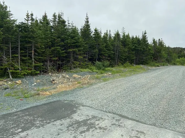 55 Robin's Pond Hill Road, Torbay, NL A1K1J7