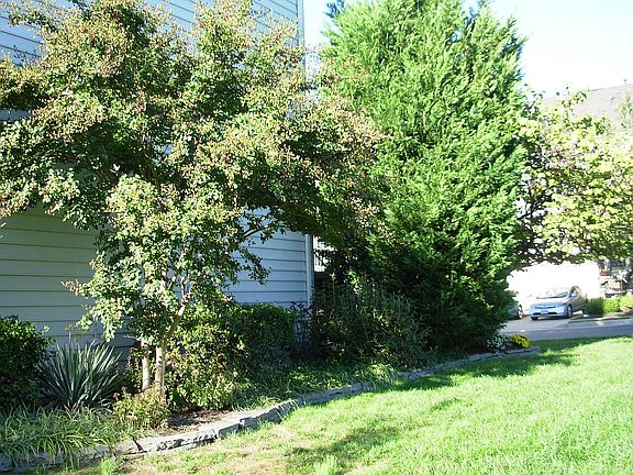 Side of house toward front