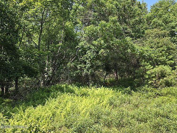 5th image of High Mountain Acres Rd