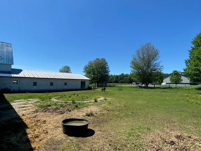 1351 Calypso St — Photo 11