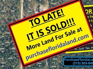 116 E Lura Ln, Florahome, FL 32140