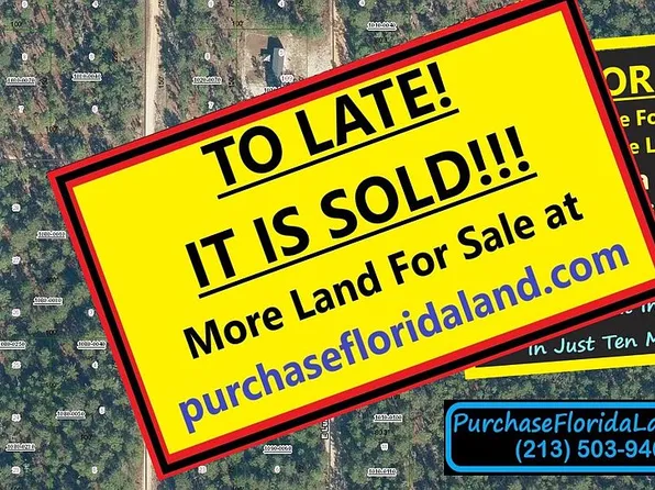 116 E Lura Ln, Florahome, FL 32140