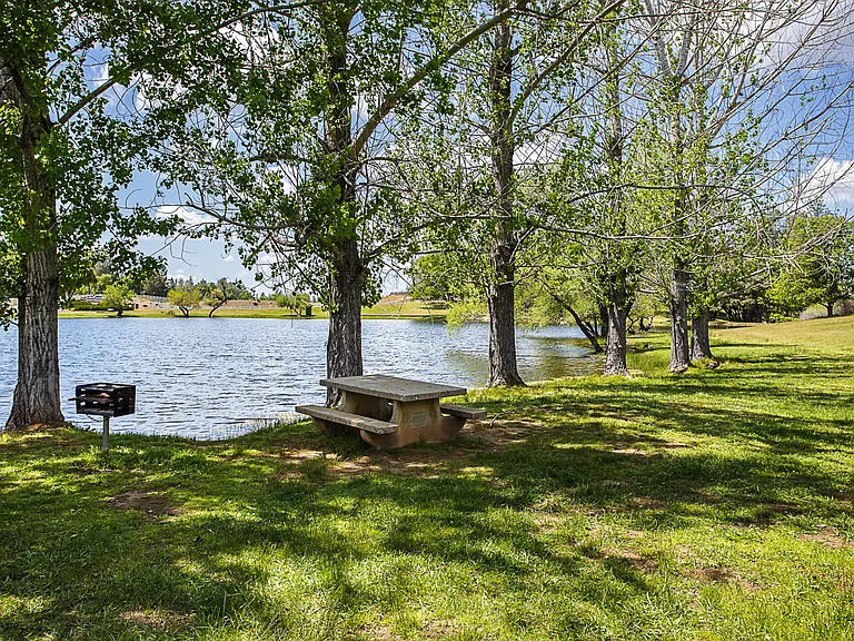 6263 Pine Needle Ln — Photo 23