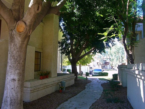 Shaded Pathway to Home