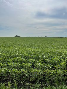 0 W Barr Rd, Manhattan, IL, 60442