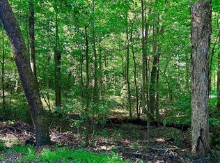 10 Walnut Ridge Ln, Ellijay, GA 30540