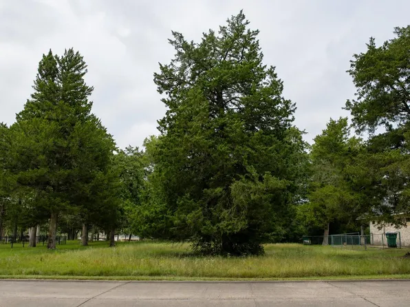 Saint Andrews Dr, New Ulm, TX 78950