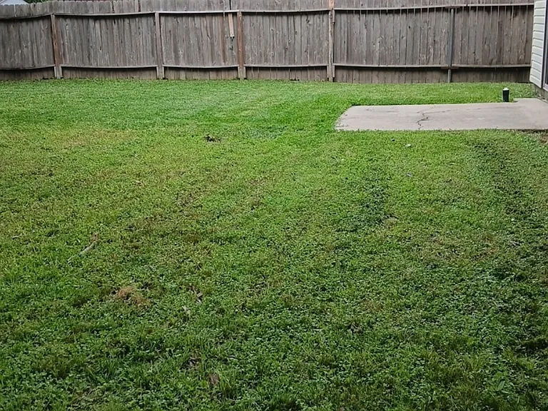 Marble Falls Dr — Photo 11