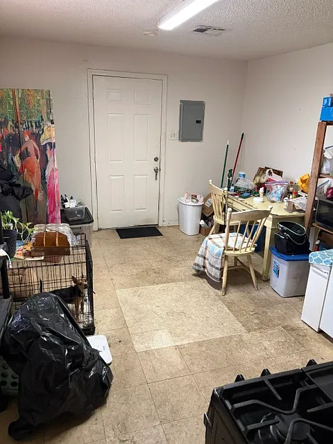 1 bed, $800 — Photo 3