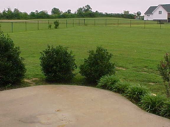 View of the level almost an acre fenced back yard