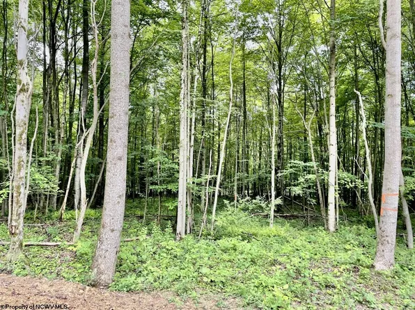 4 Holleran Ests, Kingwood, WV 26537
