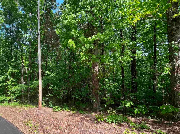 4 Cedar Ln, Guntersville, AL 35976