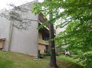 1229 Notchbrook Rd, Stowe, VT 05672