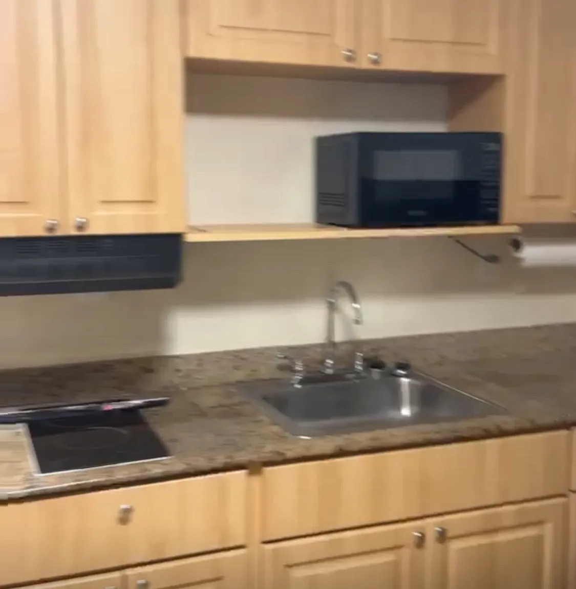 1 bed, $1,100 — Photo 4