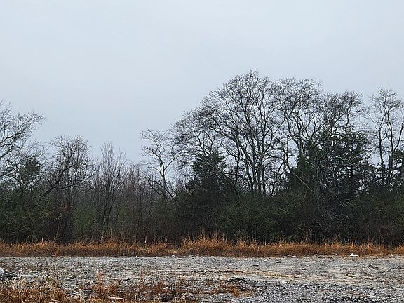 4th image of 401 Richmonds Retreat Blvd Lot 79