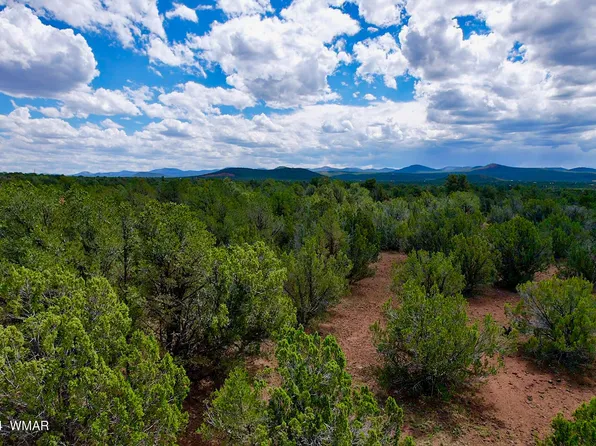 4 County Road 3187 Lot 1, Vernon, AZ 85940