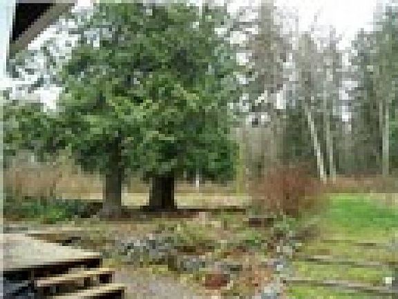 Nice flat back yard