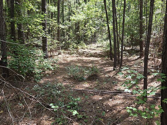 2nd image of 3767 Donnan Rd
