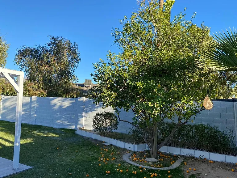 10699 E Mescal St — Photo 20