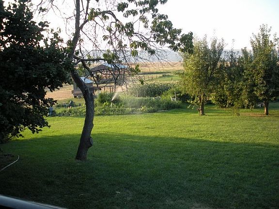 view from back  deck