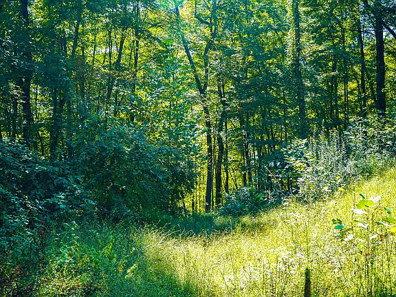 5th image of 3505 Township Road 90