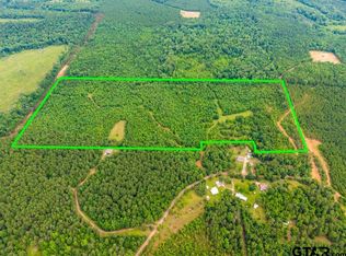 3536 & Cres #1579, Avinger, TX 75630