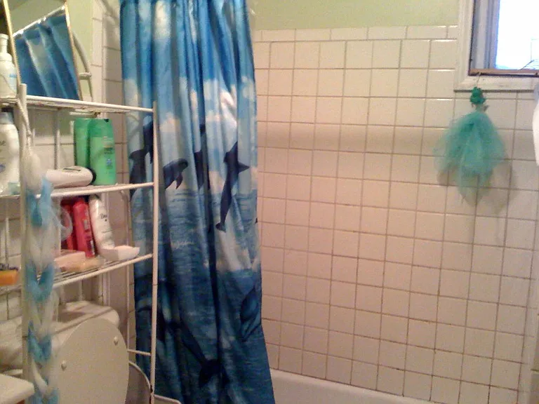 24 Browns Ave #5 — Photo 7