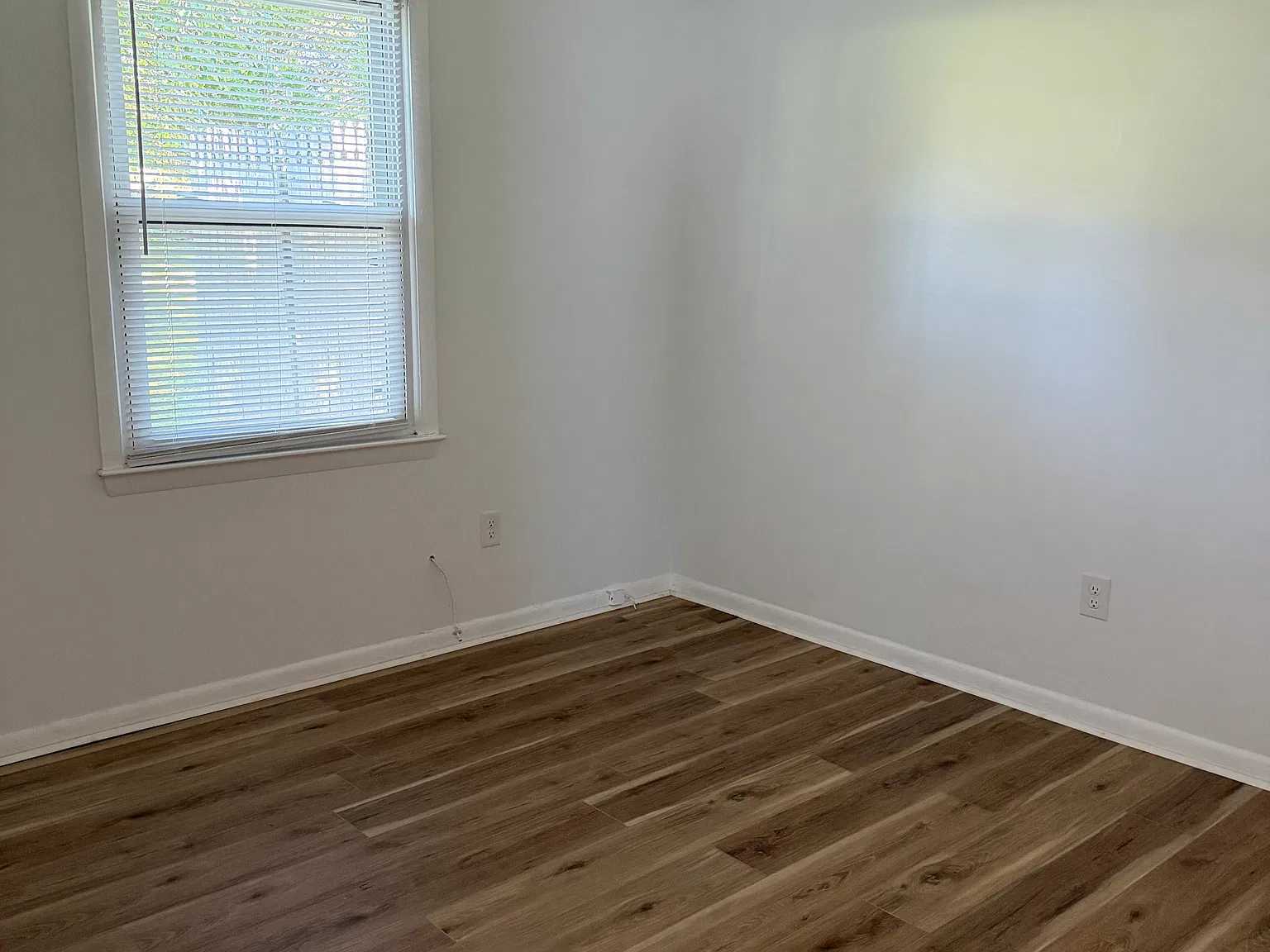 2 bed, 800 sqft, $1,250 — Photo 4