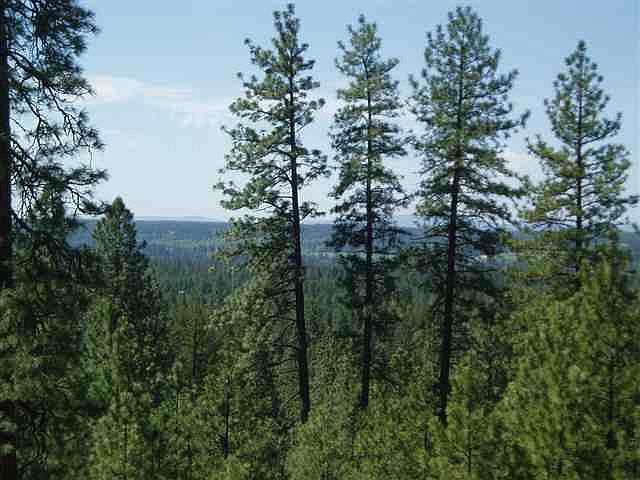 1st image of 0 N Bigfoot Ln