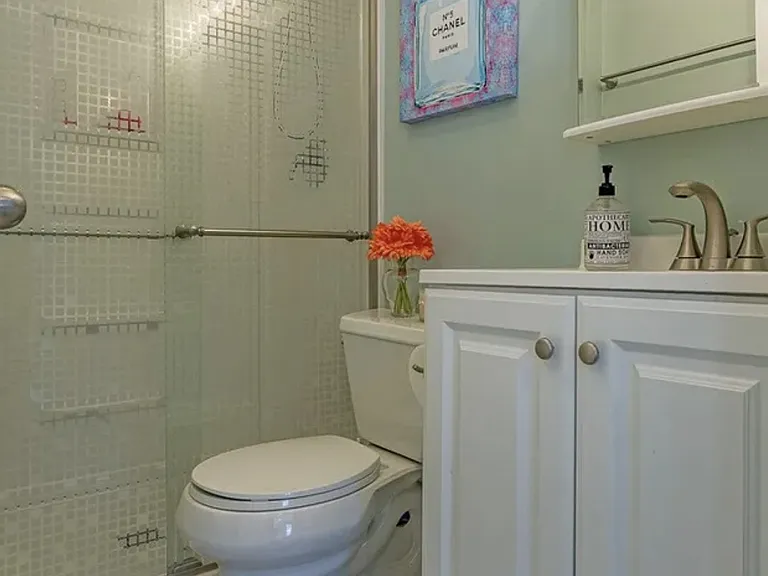 Lower Level Bathroom 3