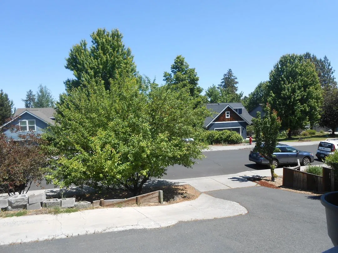 89 CW (1 & 2)- 20345 Sonata Way - 1 — Photo 3